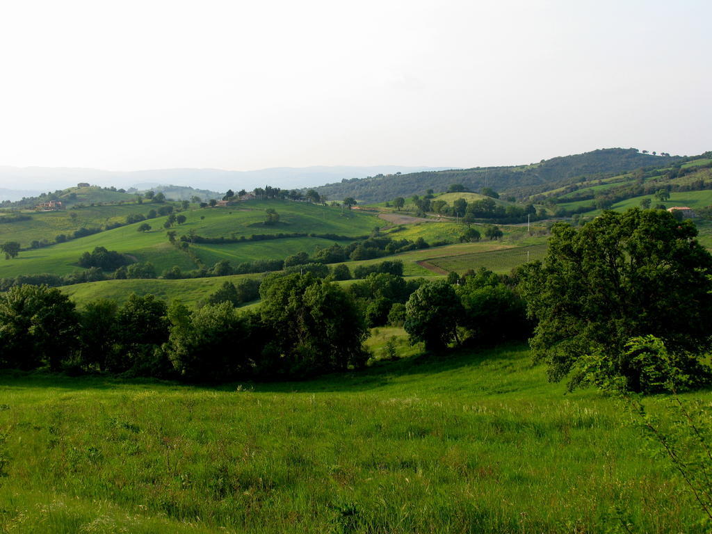 Vila Poggio Della Quercia Manciano Exteriér fotografie
